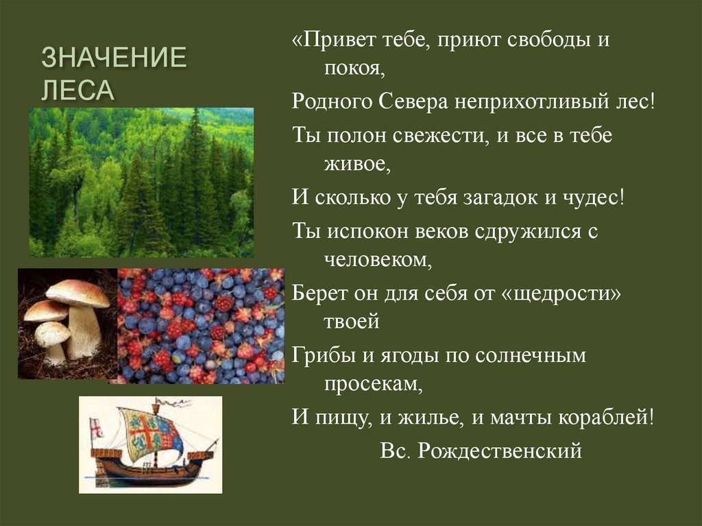 Значение лесного комплекса. Значение леса по географии. Значение леса география 9 класс. Лесопромышленный комплекс России значение леса.