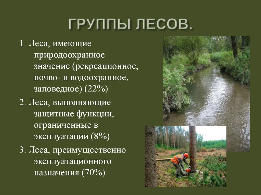 Какие есть группы лесов. Группы лесов лесного фонда России. Леса первой группы. Три группы леса. 3 Группы лесов.