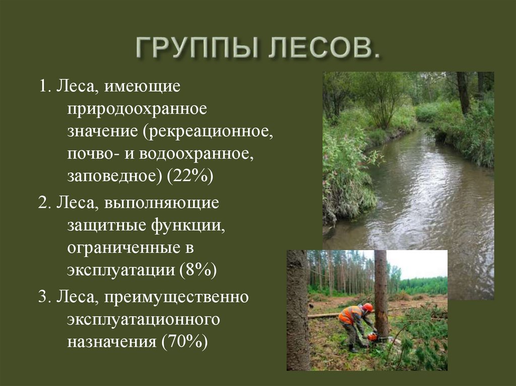 Группы лесов. Три группы леса. 3 Группы лесов. Рекреационное значение лесов.