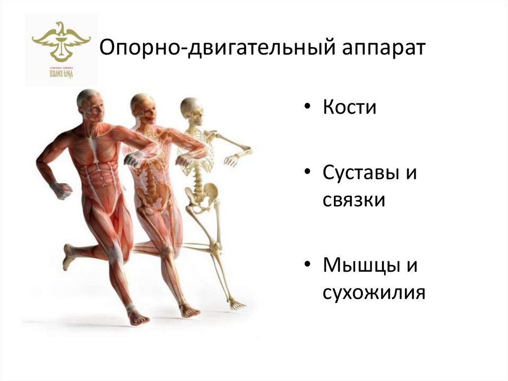 Уцелеть и что им. Уцелеть и что им