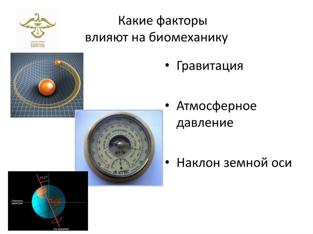 Какие факторы влияют на биомеханику