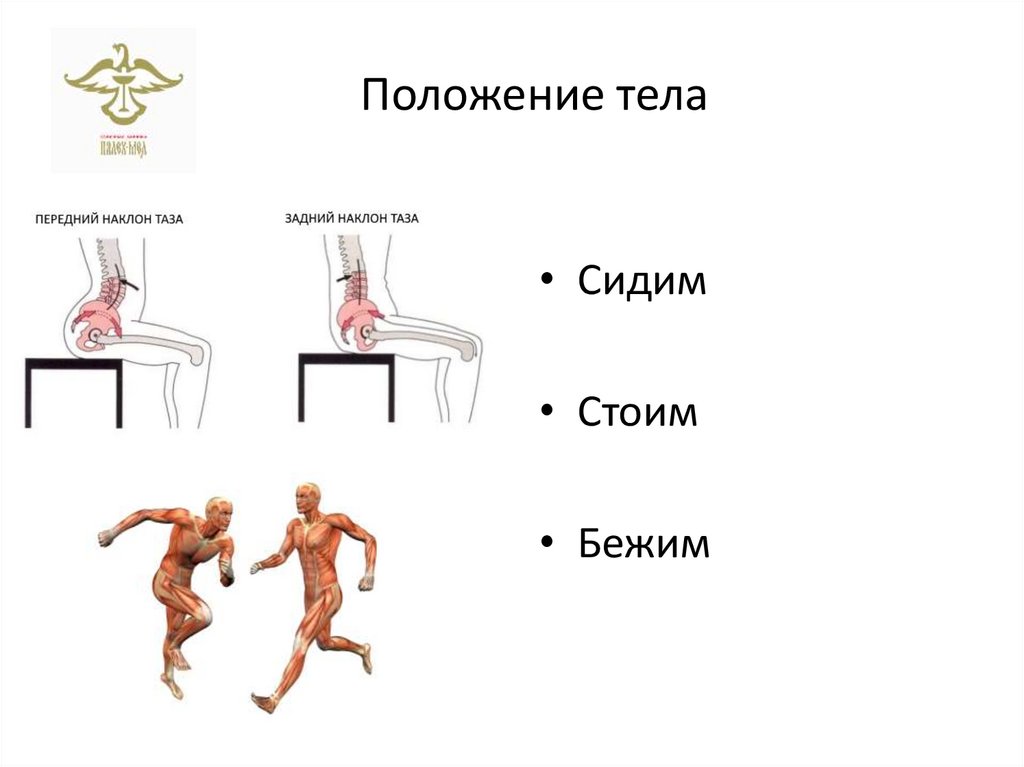 Положение тела