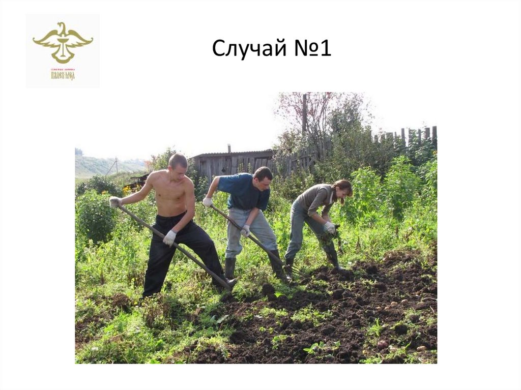 Случай №1