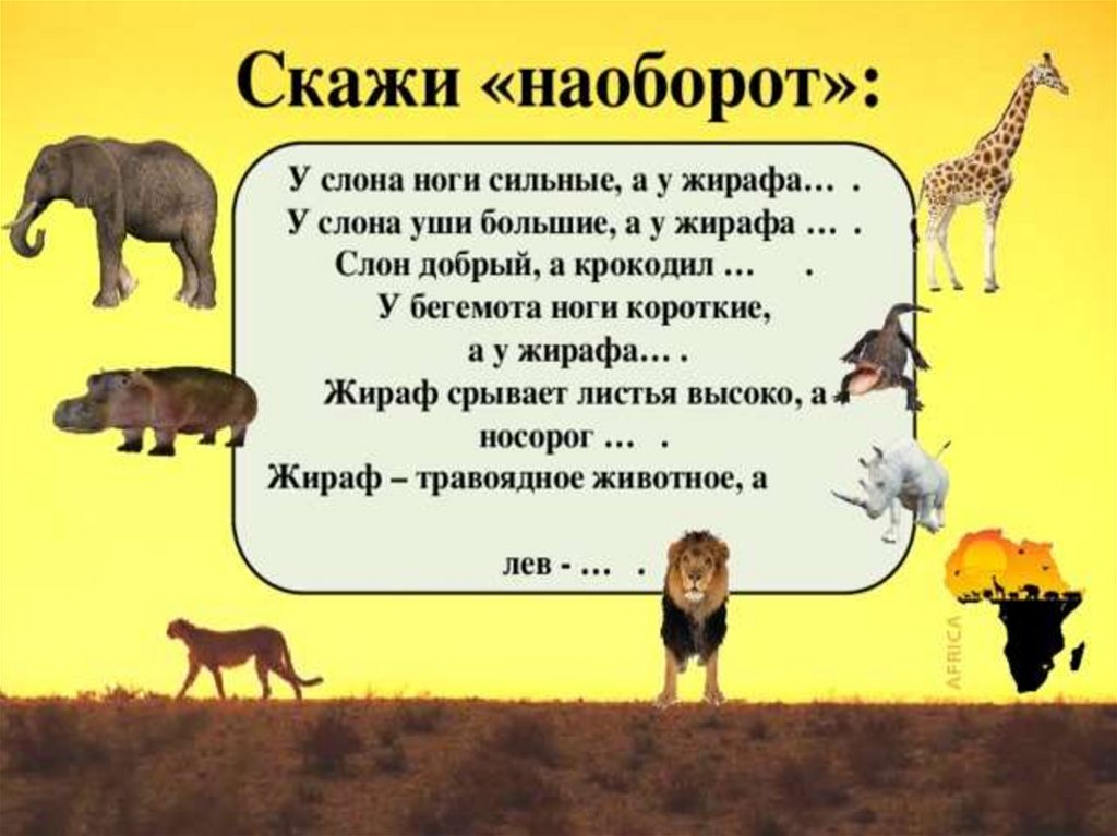 Животные жарких стран презентация в подготовительной группе