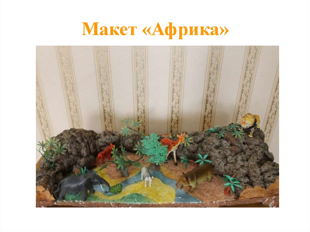 Макет «Африка»