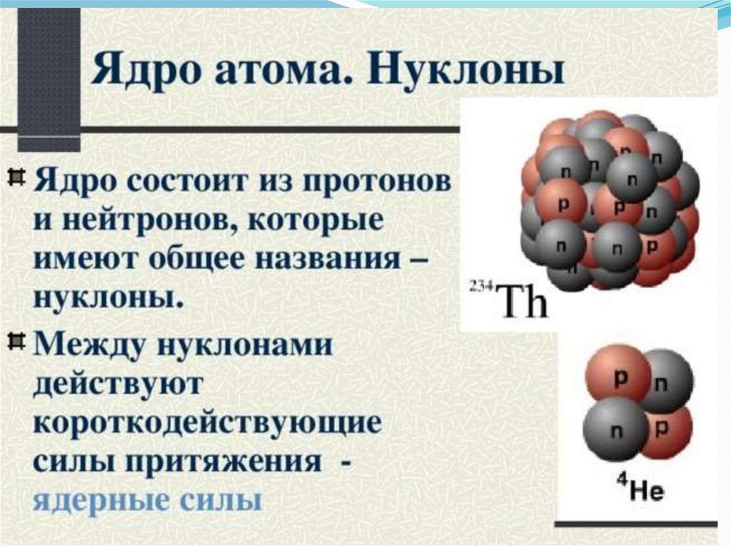 Ядро атома свинца содержит