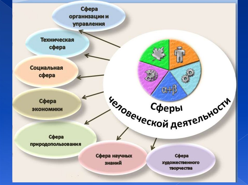 Сфера деятельности города