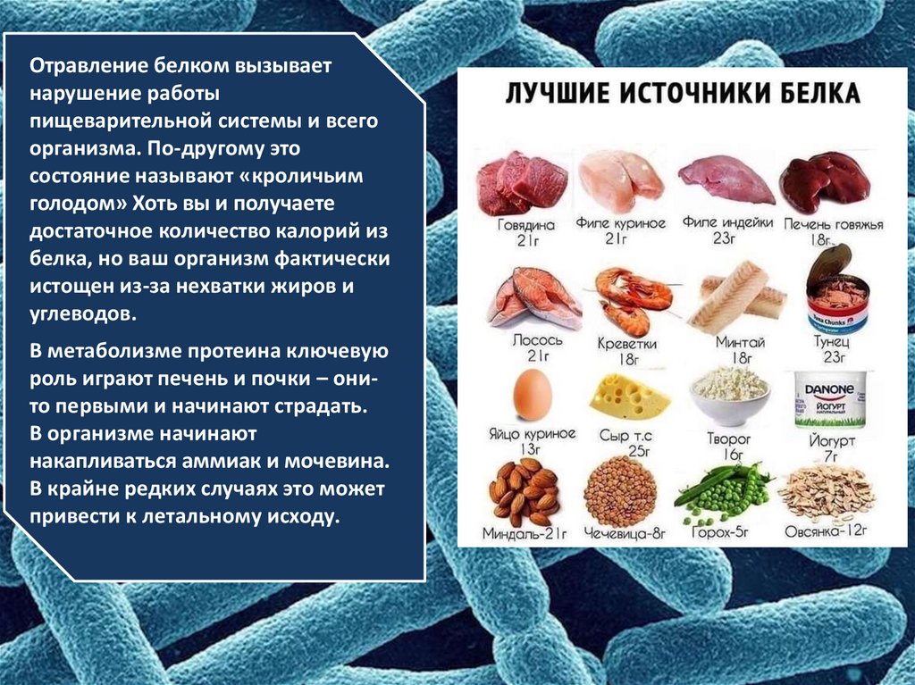 Белковая интоксикация. Пищевые отравления картинки. Пищевые токсикоинфекции презентация. Отравление презентация. Белковое отравление от морепродуктов.