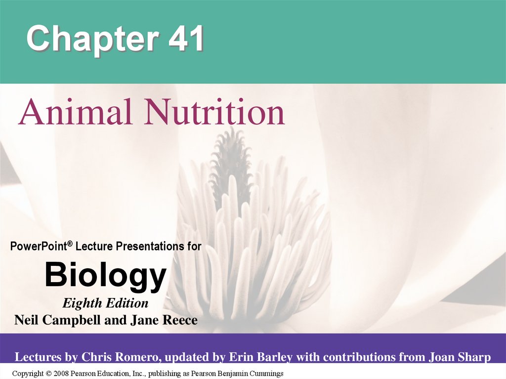 Animal Nutrition - презентация онлайн