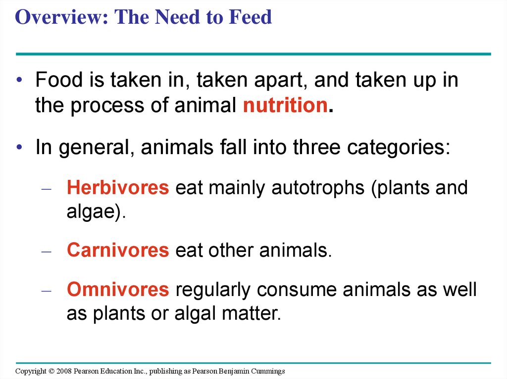 Overview: The Need to Feed