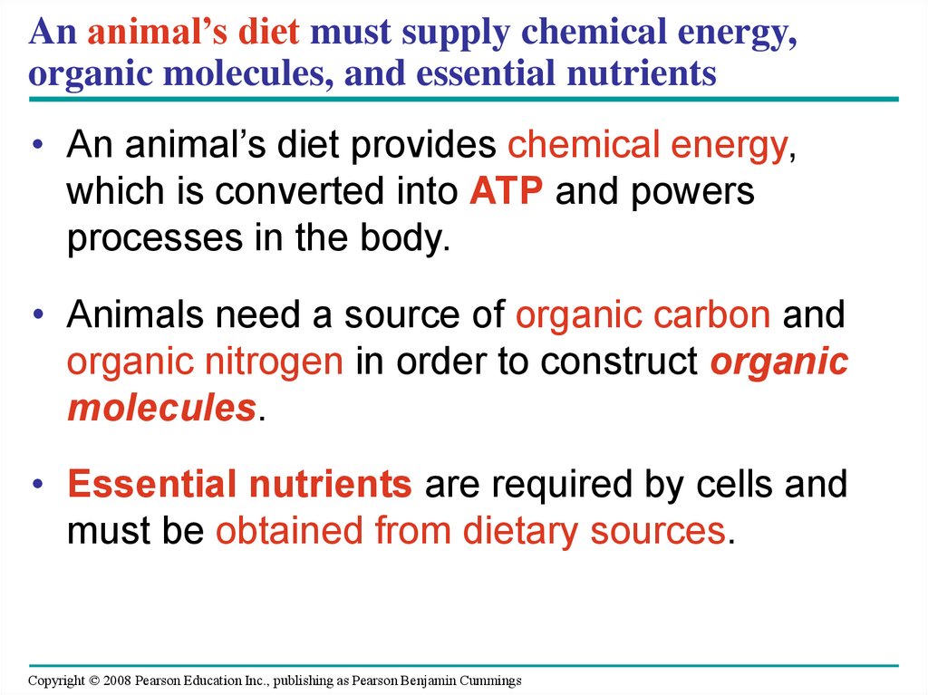 An animal’s diet must supply chemical energy, organic molecules, and essential nutrients