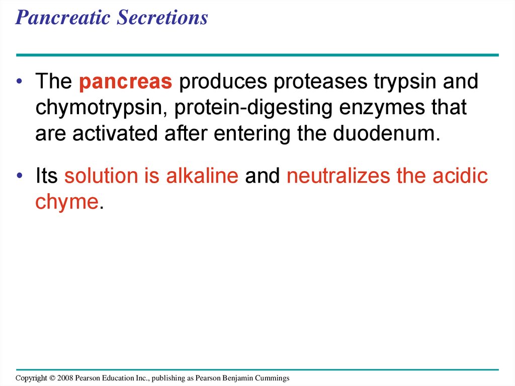 Pancreatic Secretions