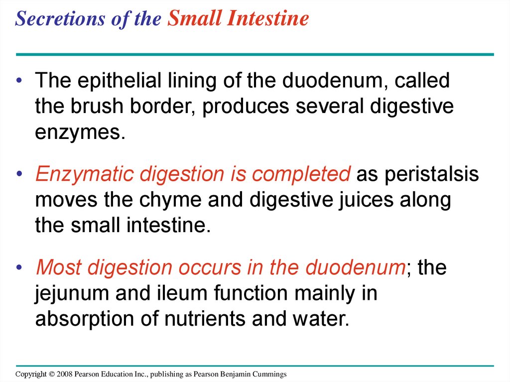 Secretions of the Small Intestine