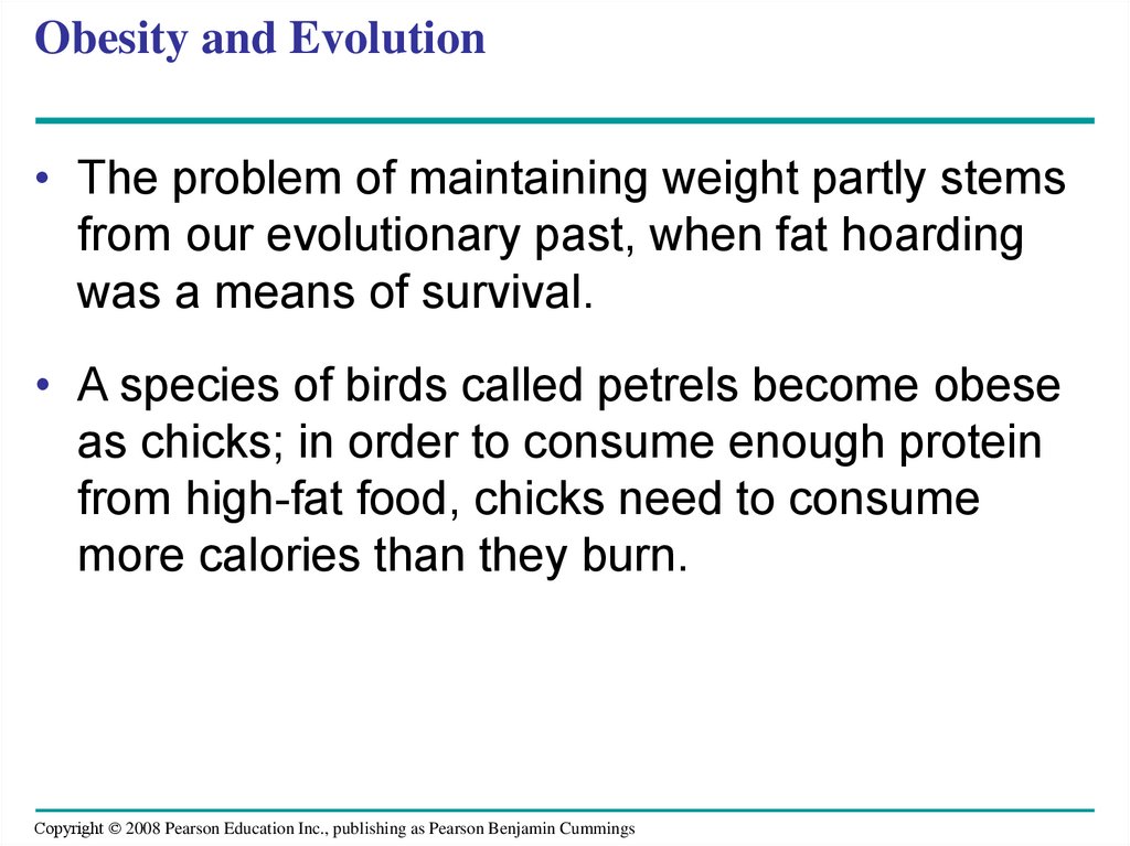 Obesity and Evolution