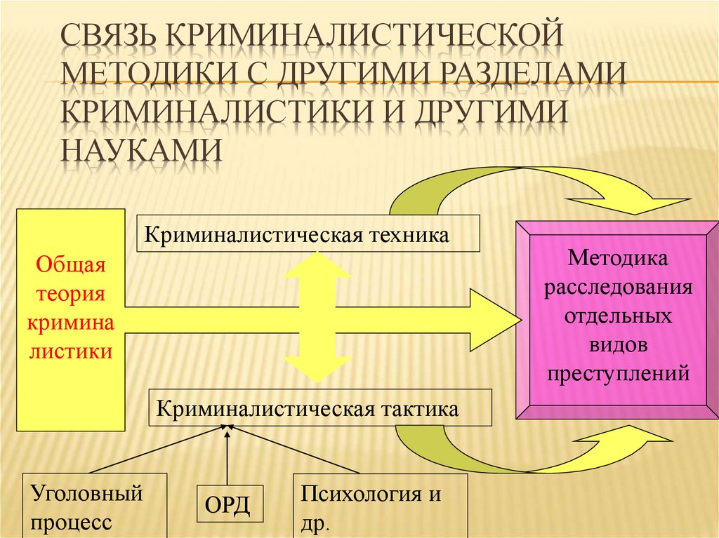 Основные разделы криминалистики. Взаимосвязь разделов криминалистики. Криминалистическая методика понятие и система. Связь криминалистики с другими науками. Связь криминалистической тактики с другими науками.