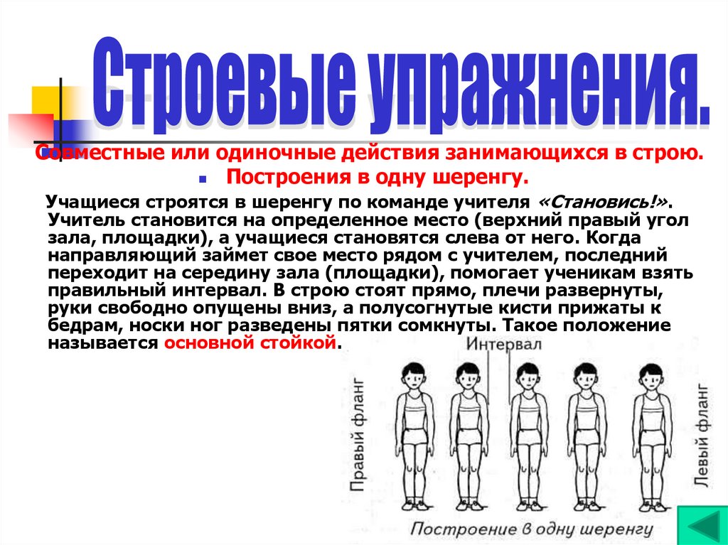 Одиночное действие. Построение в шеренгу. Построение в одну шеренгу. Команда для построения в шеренгу. Строевые упражнения шеренга.