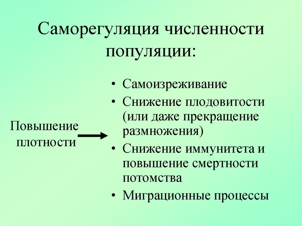 Саморегуляция спроса и предложения