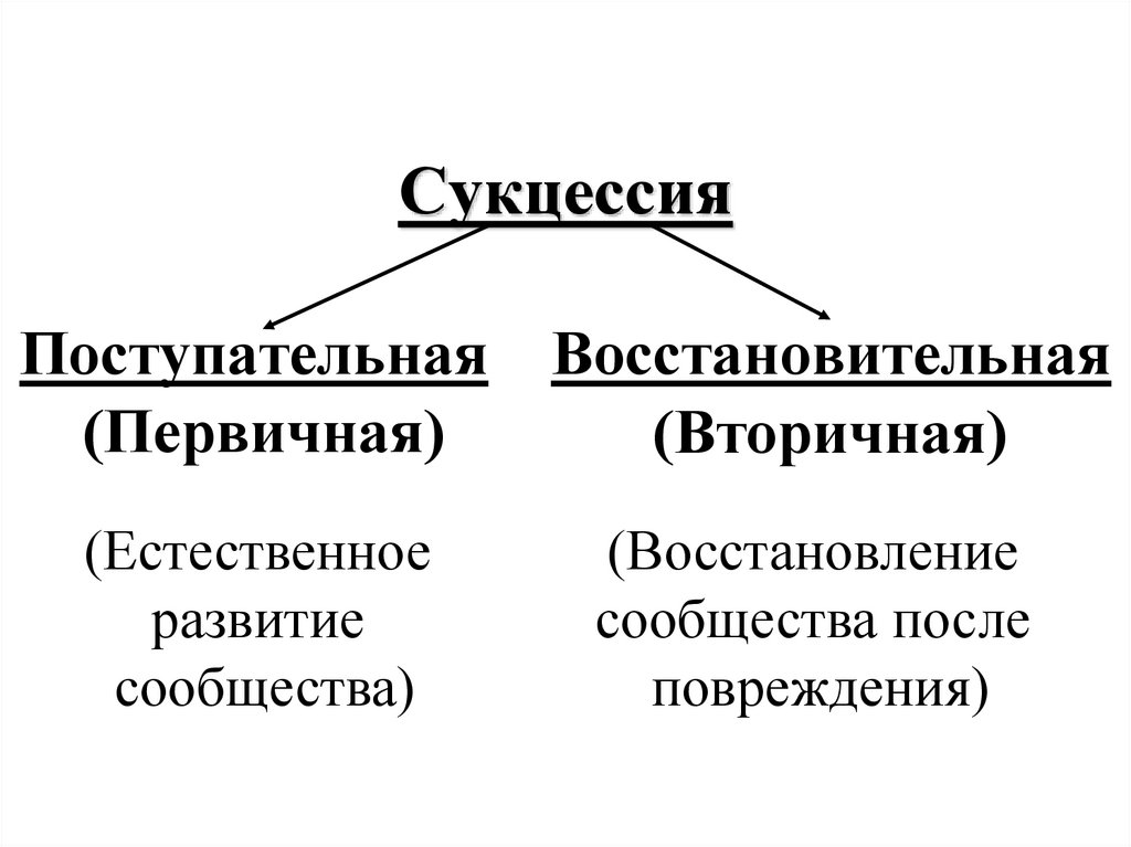 Схема вторичной сукцессии