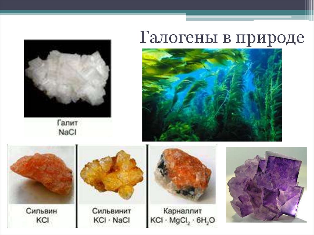 Рождающие соли галогены проект