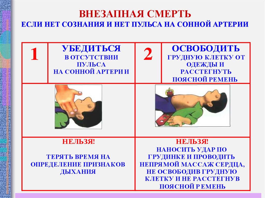 Заполните схему алгоритм оказания первой помощи при состоянии когда нет сознания но есть пульс