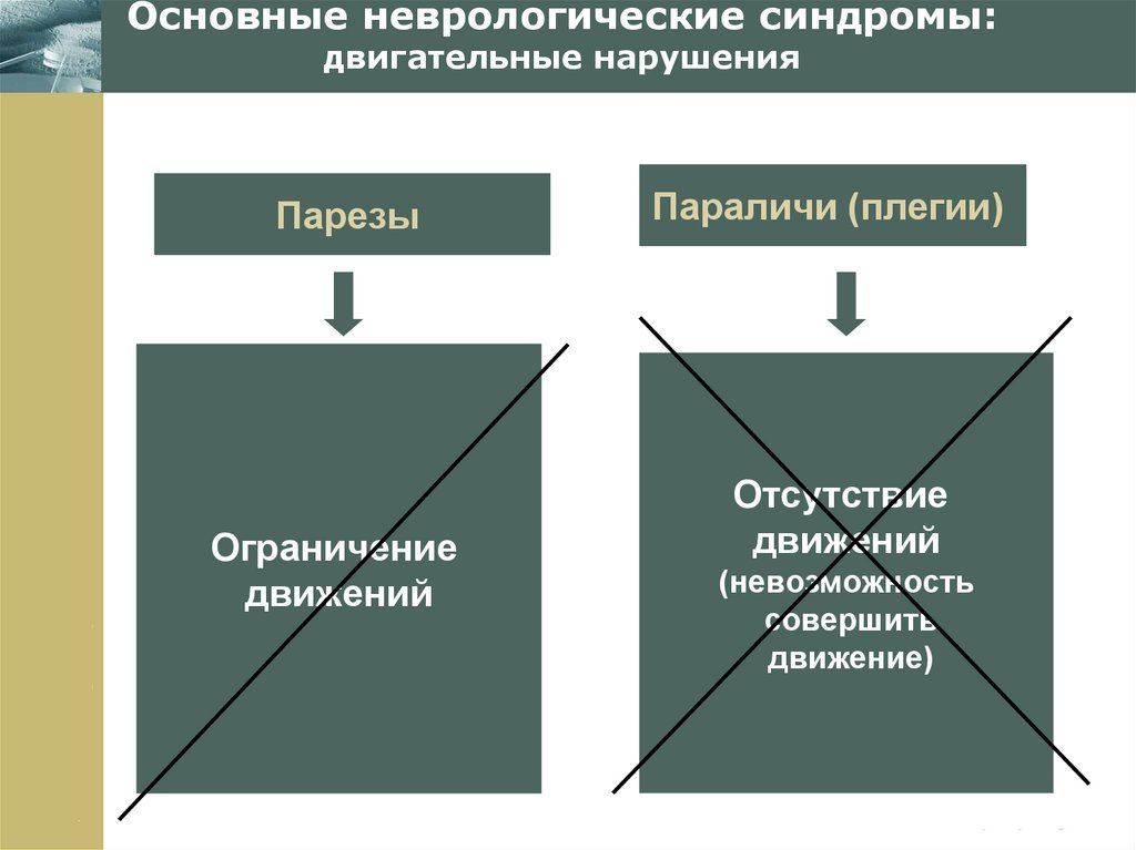 Основные неврологические синдромы презентация
