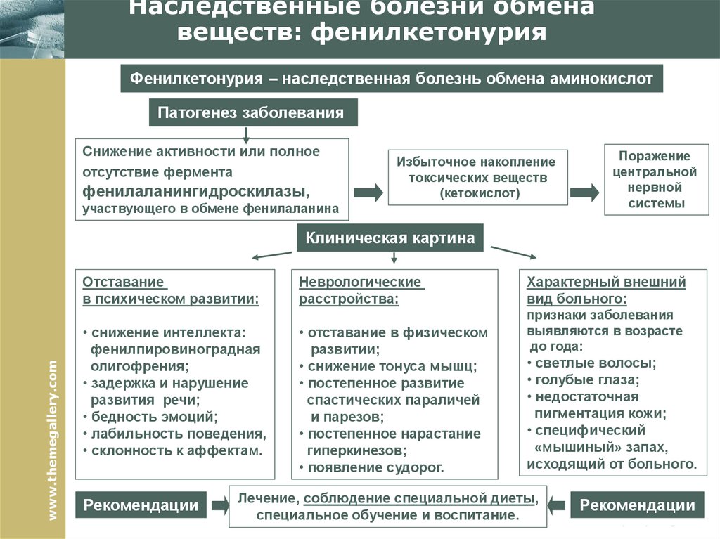 Схема патогенеза наследственных болезней обмена