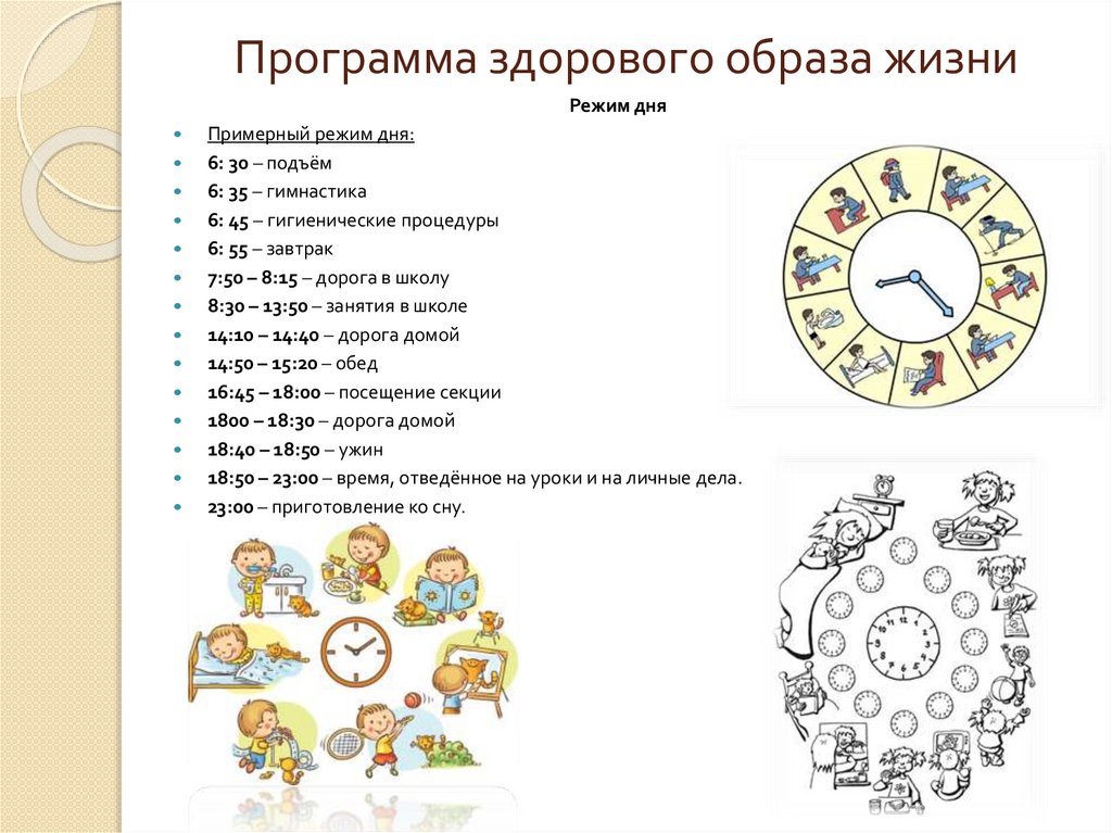 Программа зож