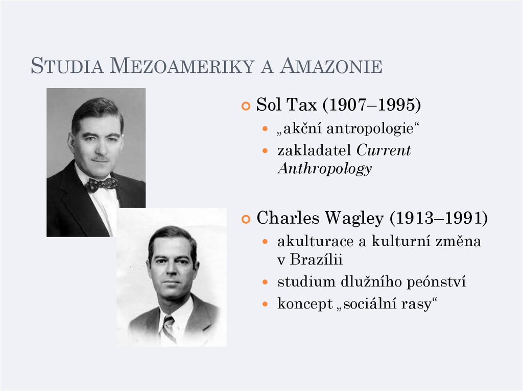 Studia Mezoameriky a Amazonie