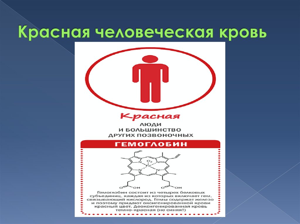 Голубая кровь миф или реальность проект по биологии 9 класс