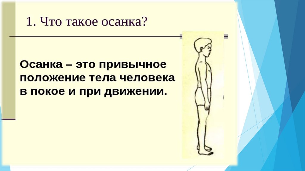 Презентация на тему правильная осанка залог здоровья