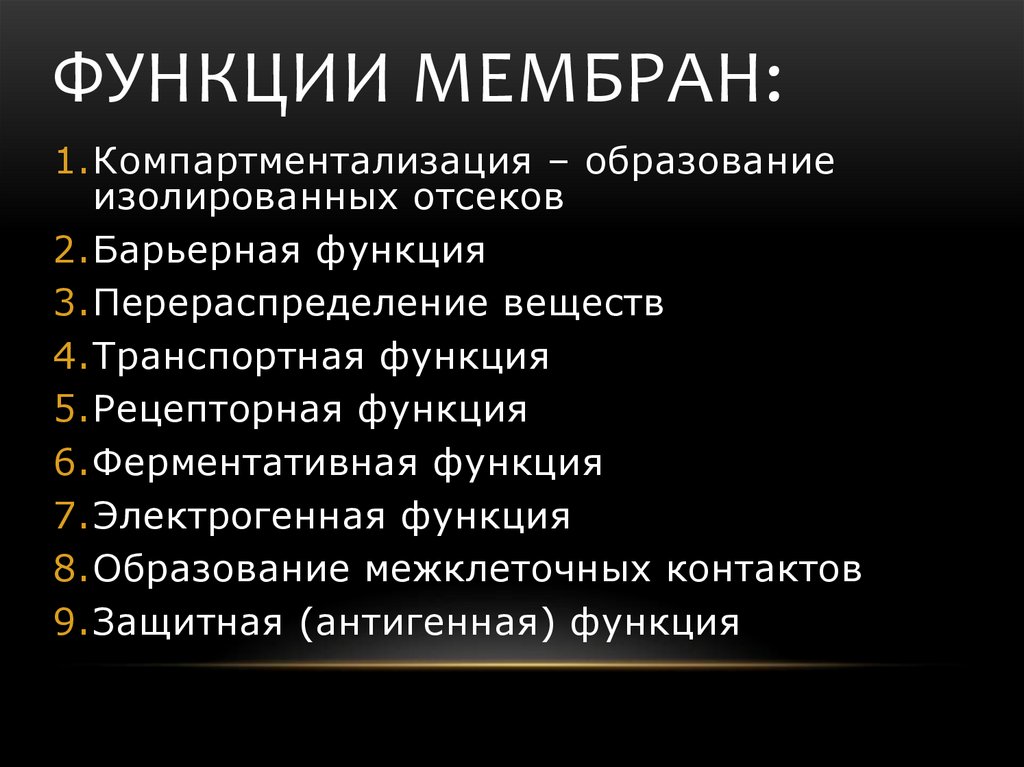 Функции оболочки. Функции мембраны. Ферментативная функция мембраны. Электрогенная функция мембран. Функция мембраны перераспределение веществ.