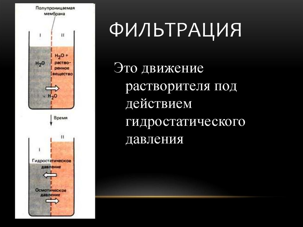 Фильтрация это. Лейкофильтрация. Лейкофильтрация крови. Лейкофильтрации могут подвергаться. Фильтрация и лаижение по растворителю.