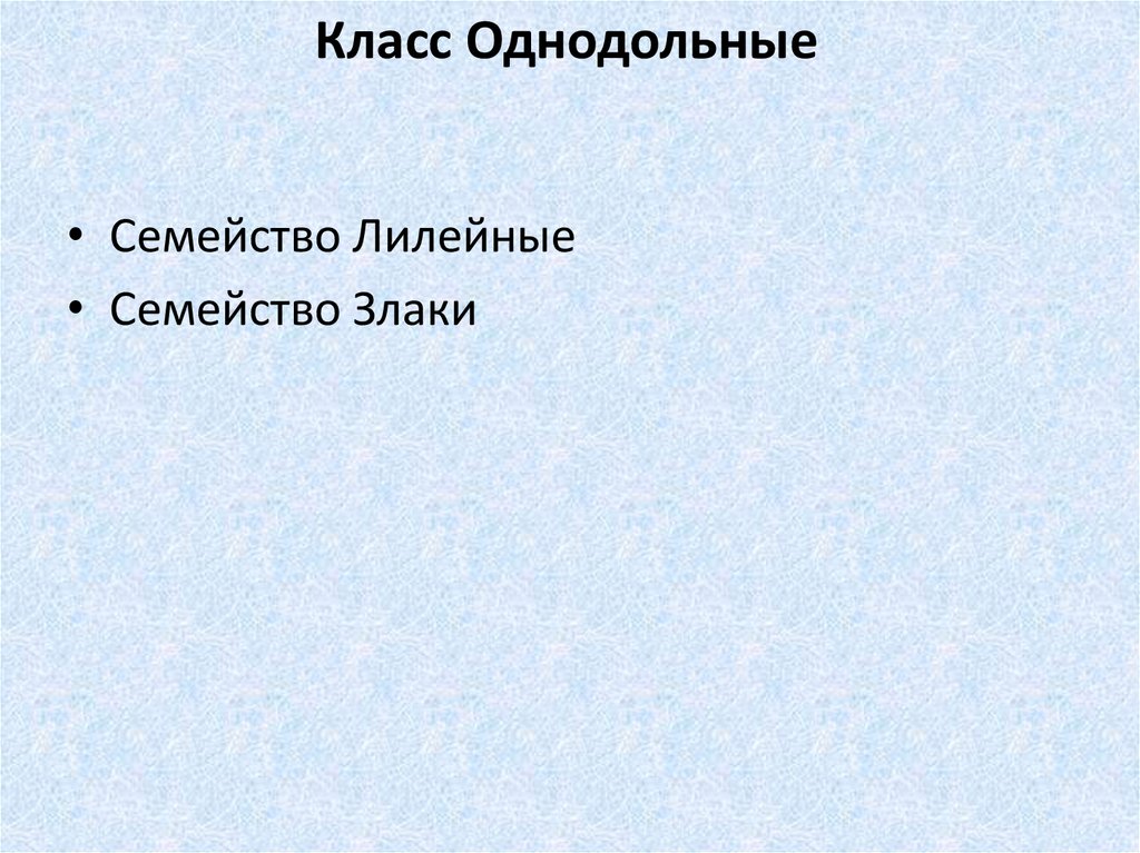 Класс Однодольные