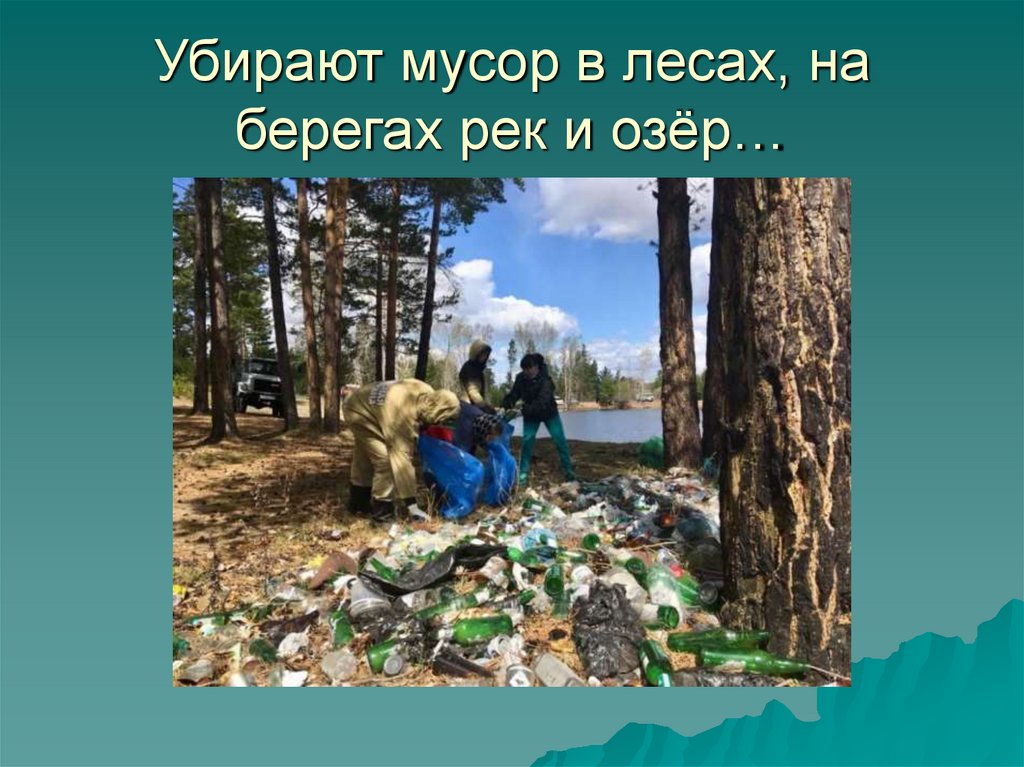 Убирают мусор в лесах, на берегах рек и озёр…