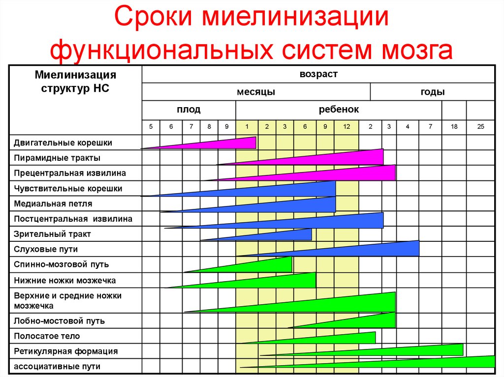 Проект время возраст календарь