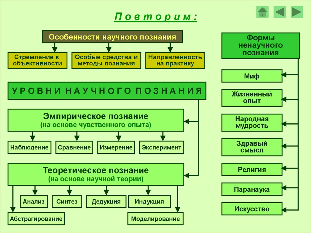 Схема научного знания