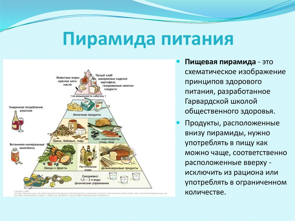 Пирамида правильного питания презентация