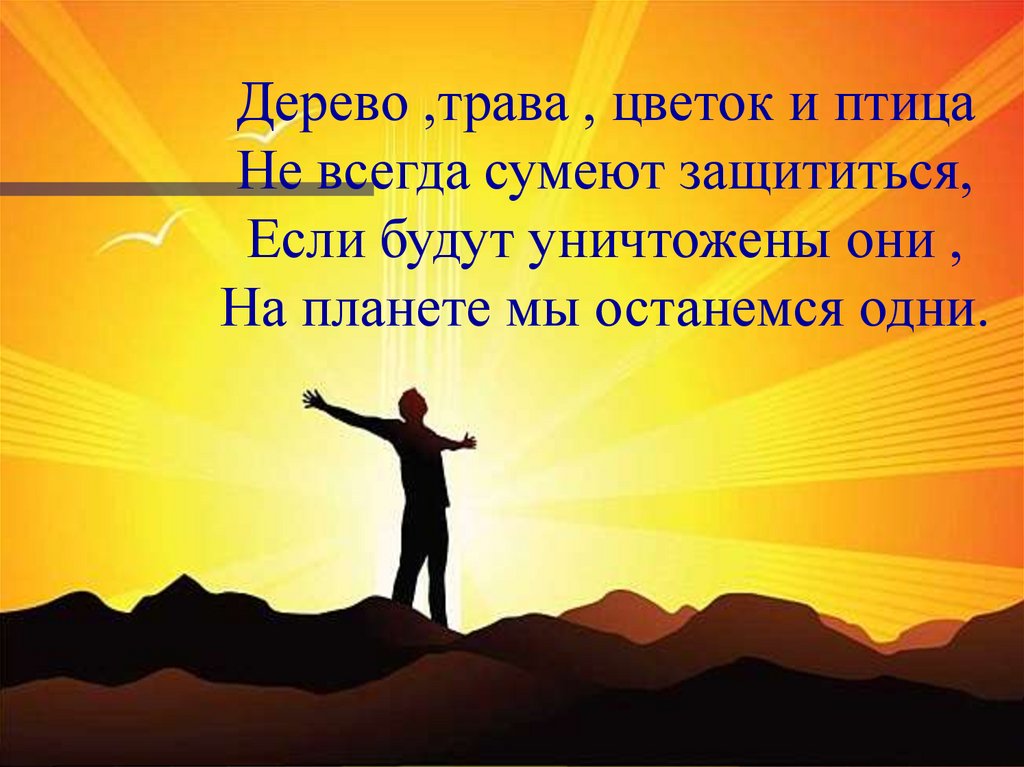 Свободолюбивый. Свободолюбивый человек. Воспевание свободолюбивой личности. О свободолюбивых людях цитаты. Картинка свободолюбивый.