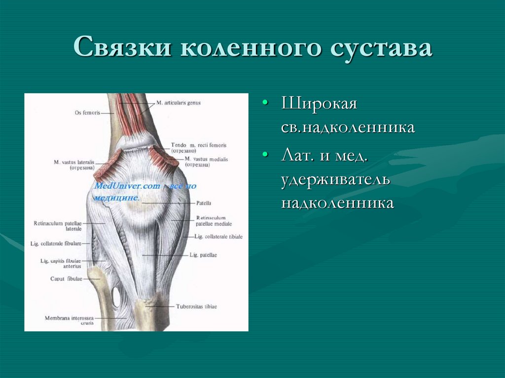 Растяжение связочного аппарата коленного сустава карта вызова