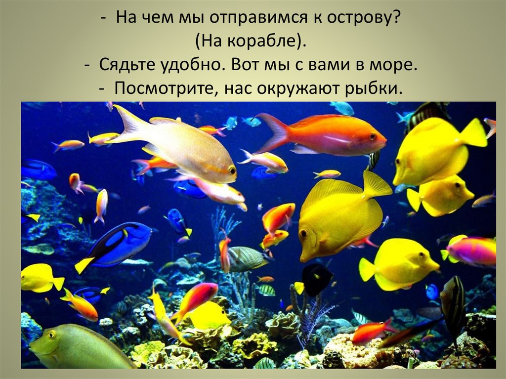 - На чем мы отправимся к острову? (На корабле). - Сядьте удобно. Вот мы с вами в море. - Посмотрите, нас окружают рыбки.