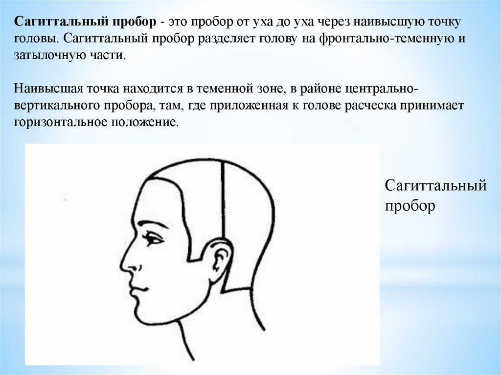 Деление головы на зоны. Сагиттальный пробор в стрижке. Зоны головы для парикмахеров. Деление волосяного Покрова головы на зоны.