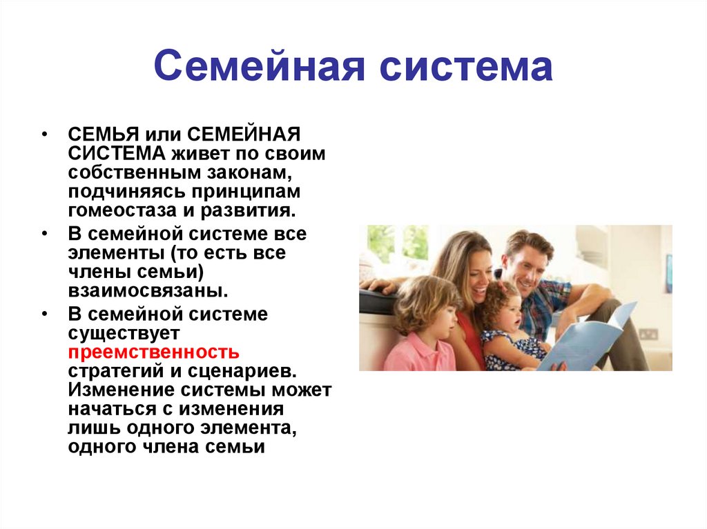 Установить family. Система семьи. Система семьи психология. Законы семейной системы. Семейные подсистемы.