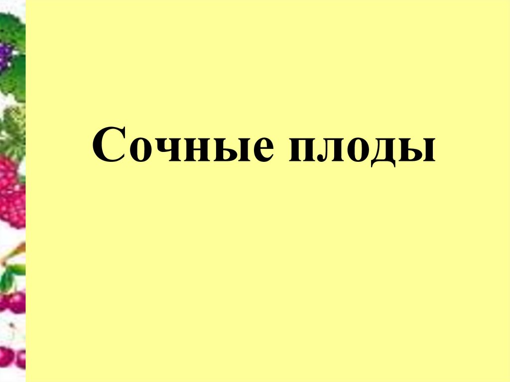 У каждого времени свой плод 1 класс окружающий мир перспектива презентация