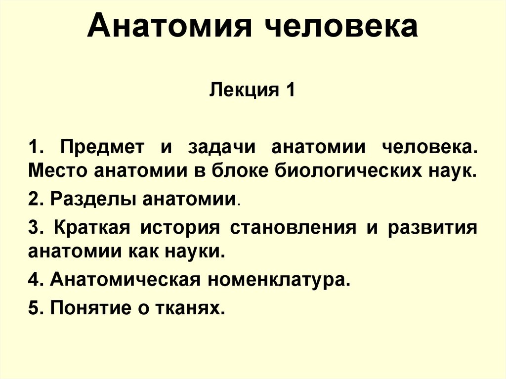 Задания по анатомии