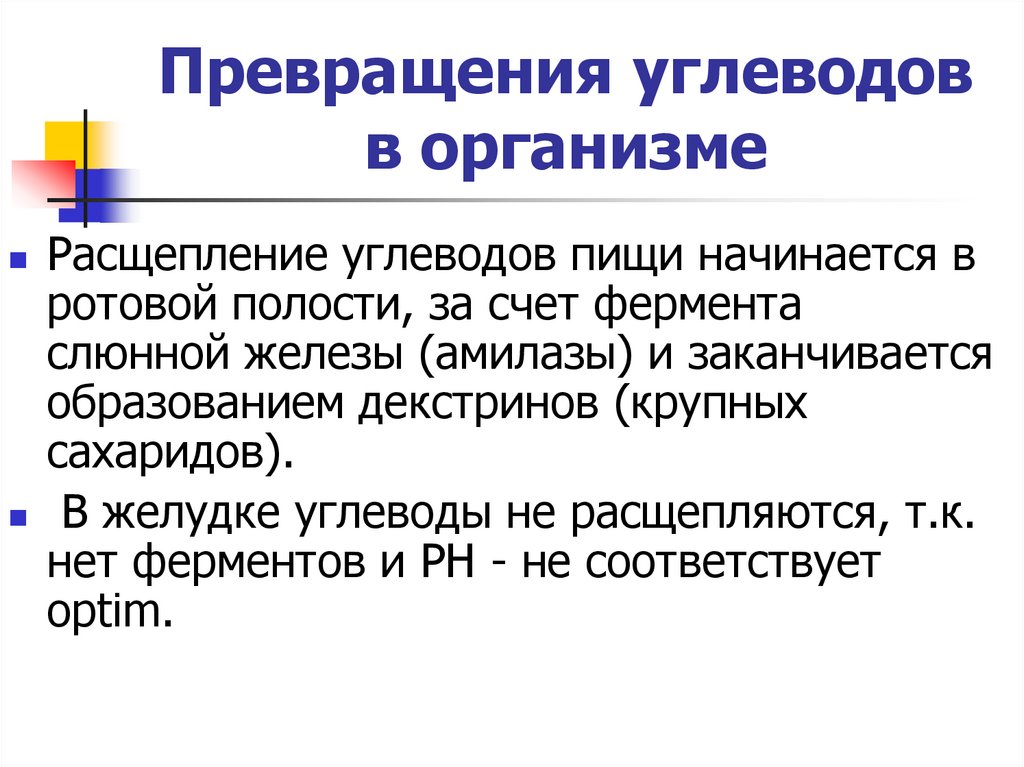 Избыток углеводов превращается. Превращение углеводов в организме. Превращение сахарозы в организме. Превращение белков в организме человека. Преобразование углеводов.