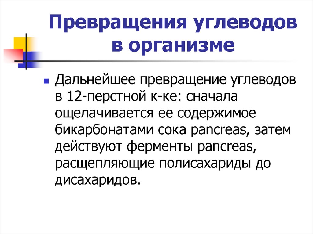 Избыток углеводов превращается. Превращение углеводов. Преобразование углеводов в организме.