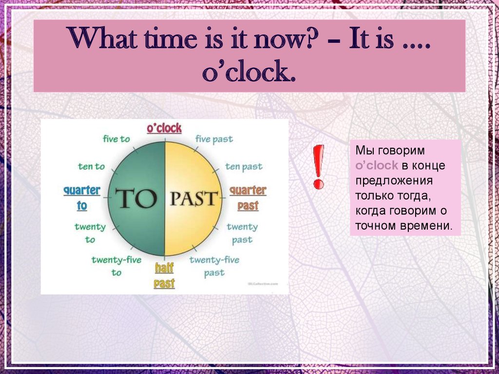 L am on time. What time is it. What the time 4 класс. What time o'Clock.
