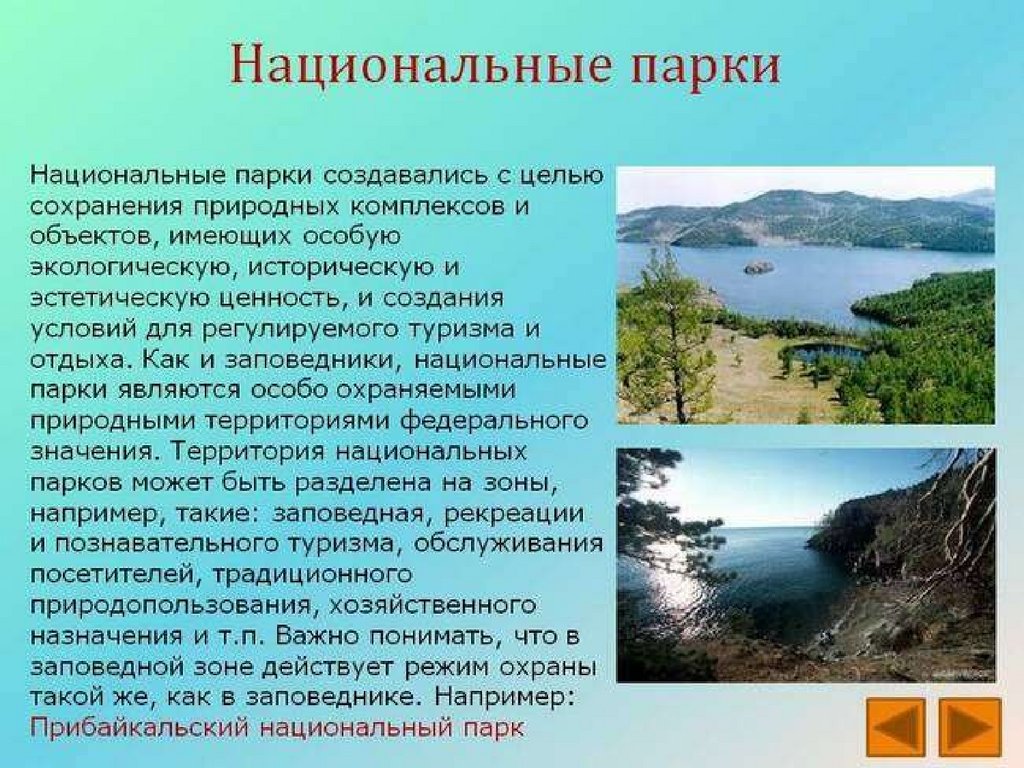 Заповедники и национальные парки россии 4 класс проект по окружающему проект