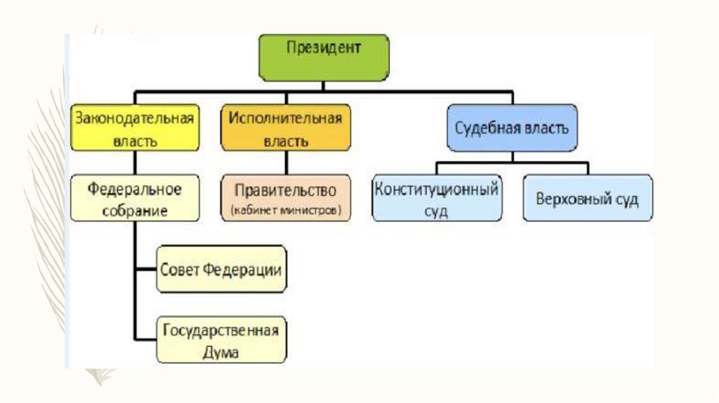 Органы государственной власти презентация