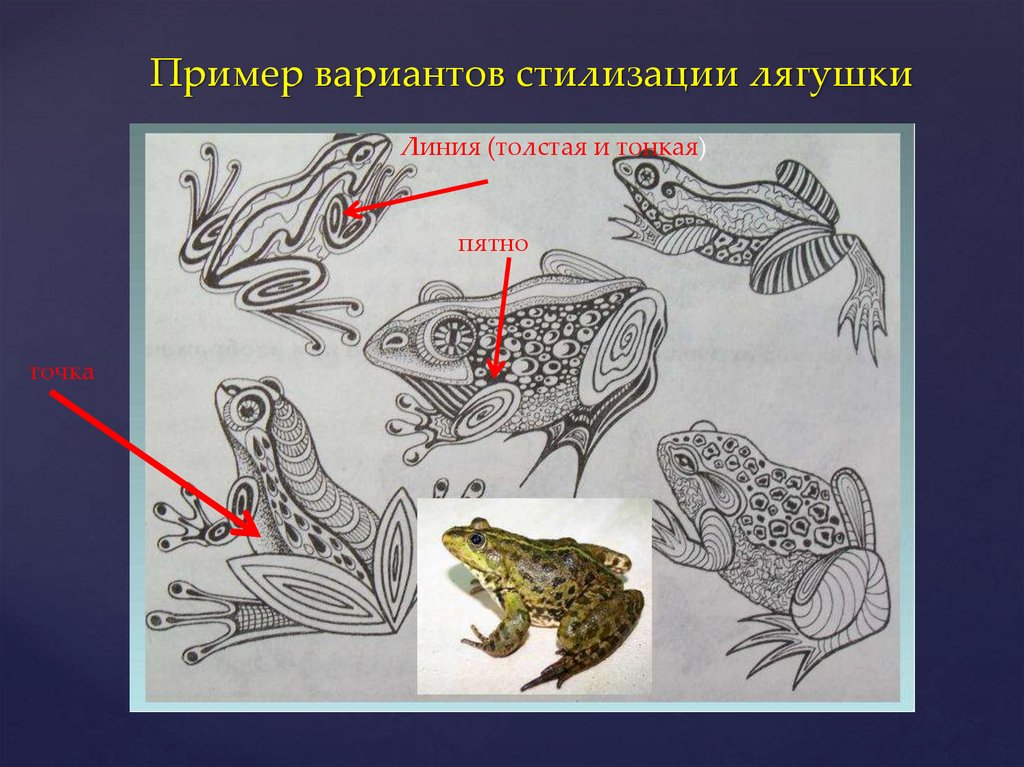 Пример вариантов стилизации лягушки